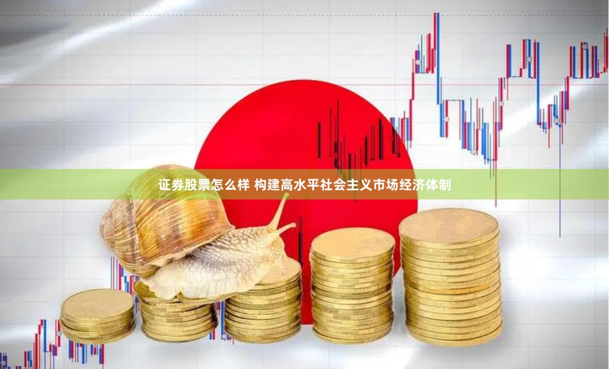 证券股票怎么样 构建高水平社会主义市场经济体制