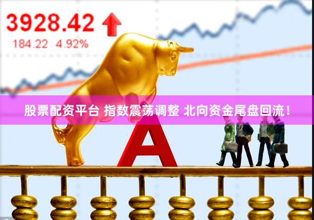 股票配资平台 指数震荡调整 北向资金尾盘回流！