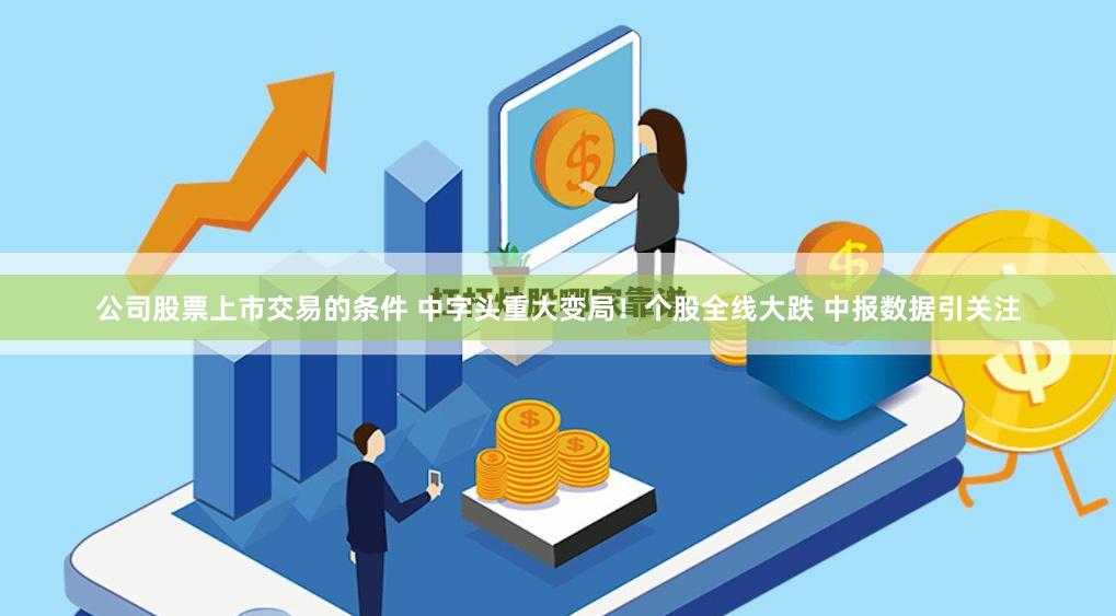 公司股票上市交易的条件 中字头重大变局！个股全线大跌 中报数据引关注