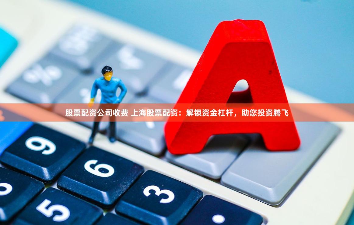 股票配资公司收费 上海股票配资：解锁资金杠杆，助您投资腾飞